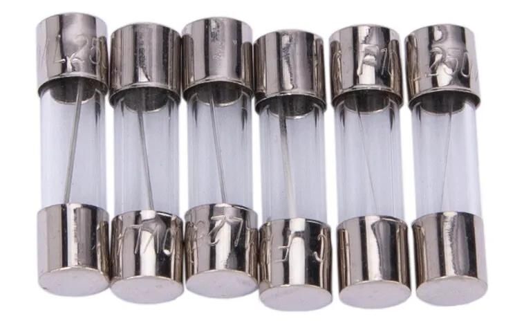 Dresselhaus glazen zekering glass fuses 5x20mm for car radio 10a 6 piece