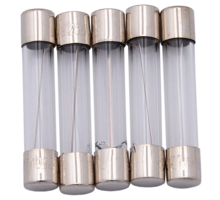 Dresselhaus glazen zekering glass fuses 6.3x30 10a f. japanese vehicles.