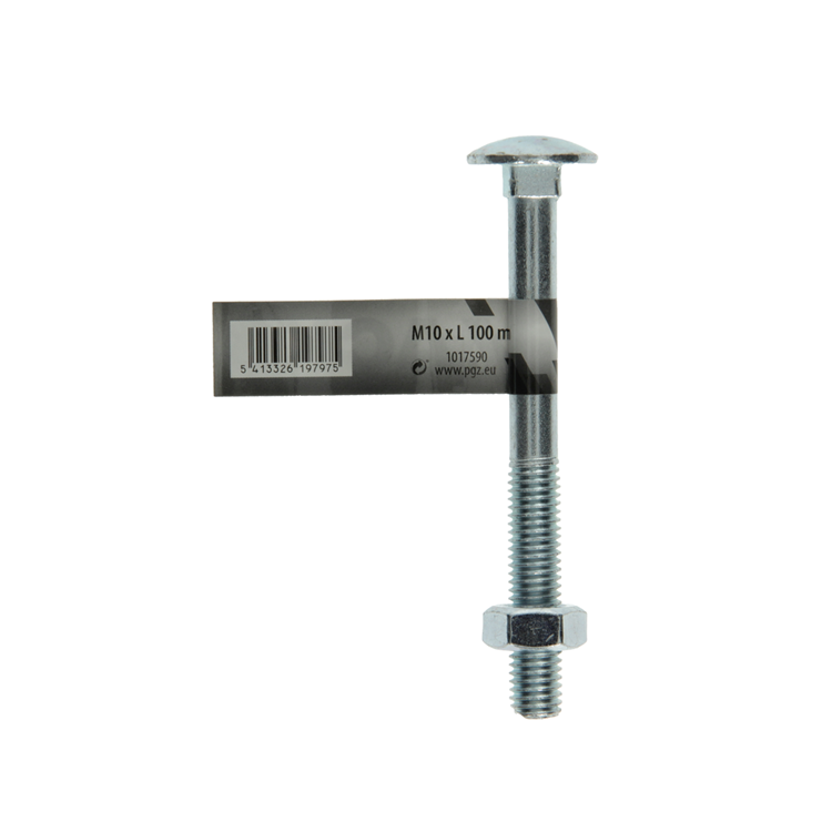 Mack 1017590 - houtbout + moer staal verzinkt1 st m10 x 100 mm | 10 stuks