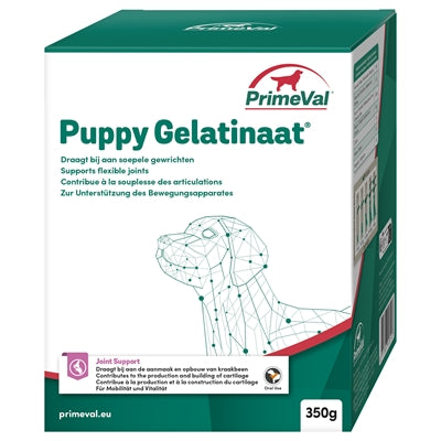 Oer-Gelatinaat hond