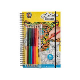 Grafix kleuren op nummer kleurboek met kleurpotloden.