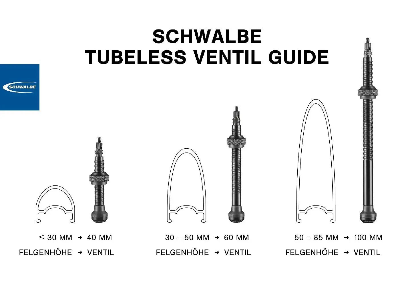 Valve tubeless Schwalbe 60mm (2 pièces)