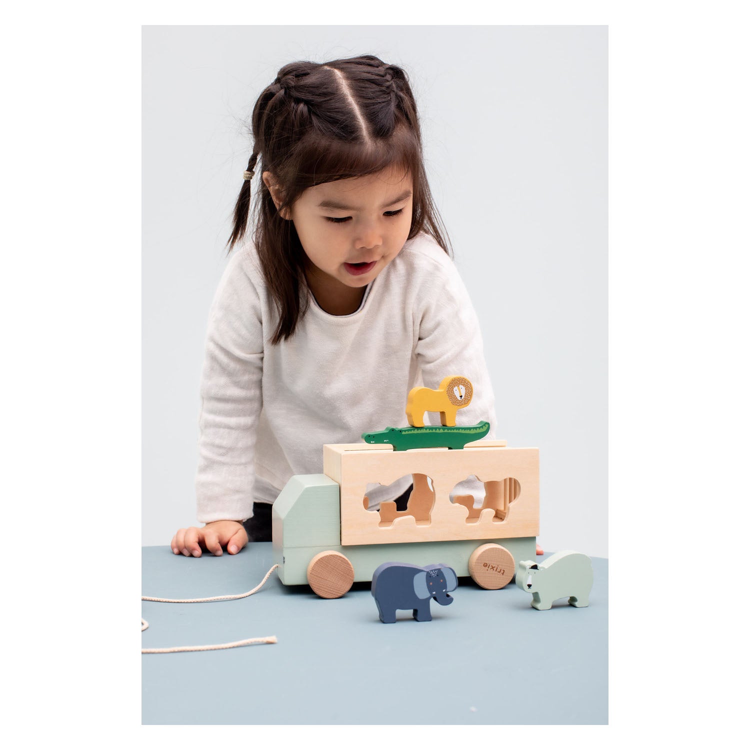 Trixie houten vormentoof dierentruck, 6dlg.