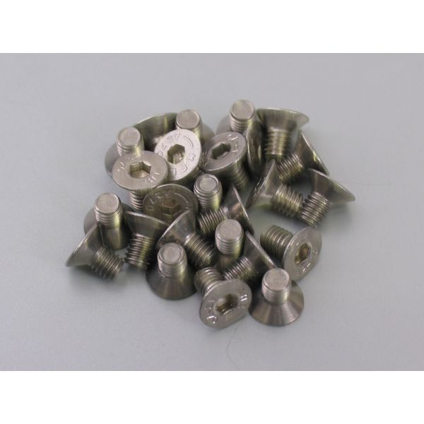 Bofix inbusbout m6x10 RVS met verzonken kop (25 stuks)