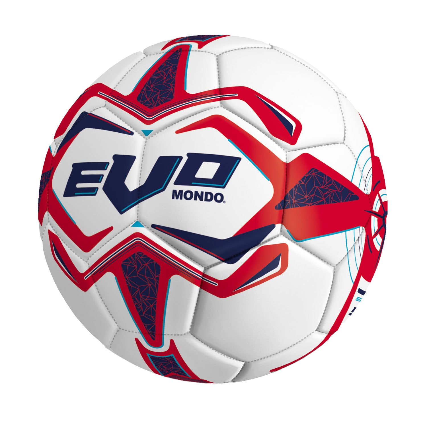 Wereld voetbal evo, 21,5cm