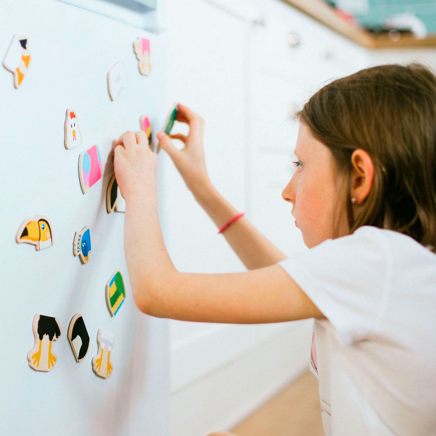 Bigjigs Mag-Play Magneetpuzzel - Vogels