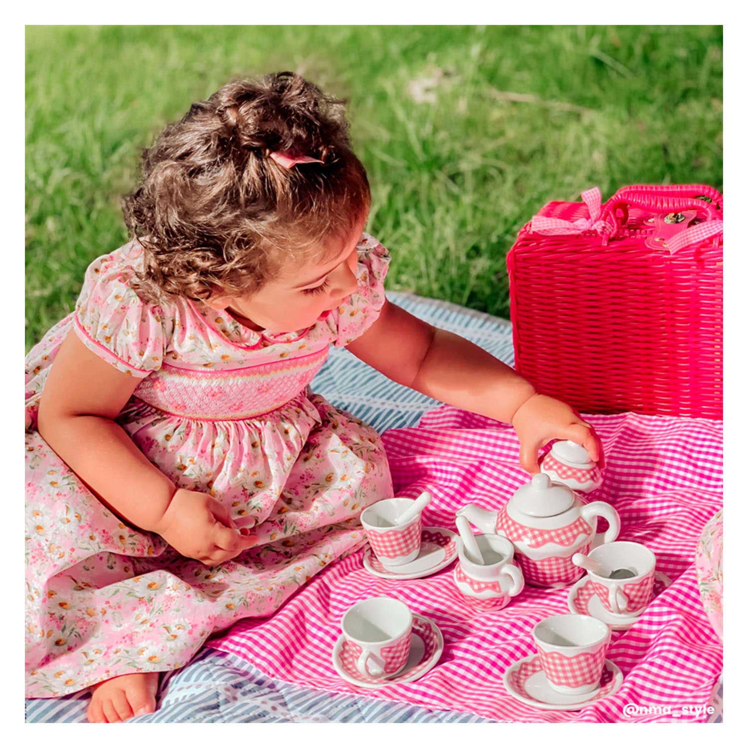 Tidlo Picknickset in Roze Koffer