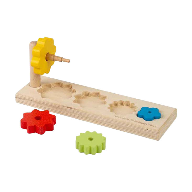 Bigjigs bloemensorteerder, 5dlg.