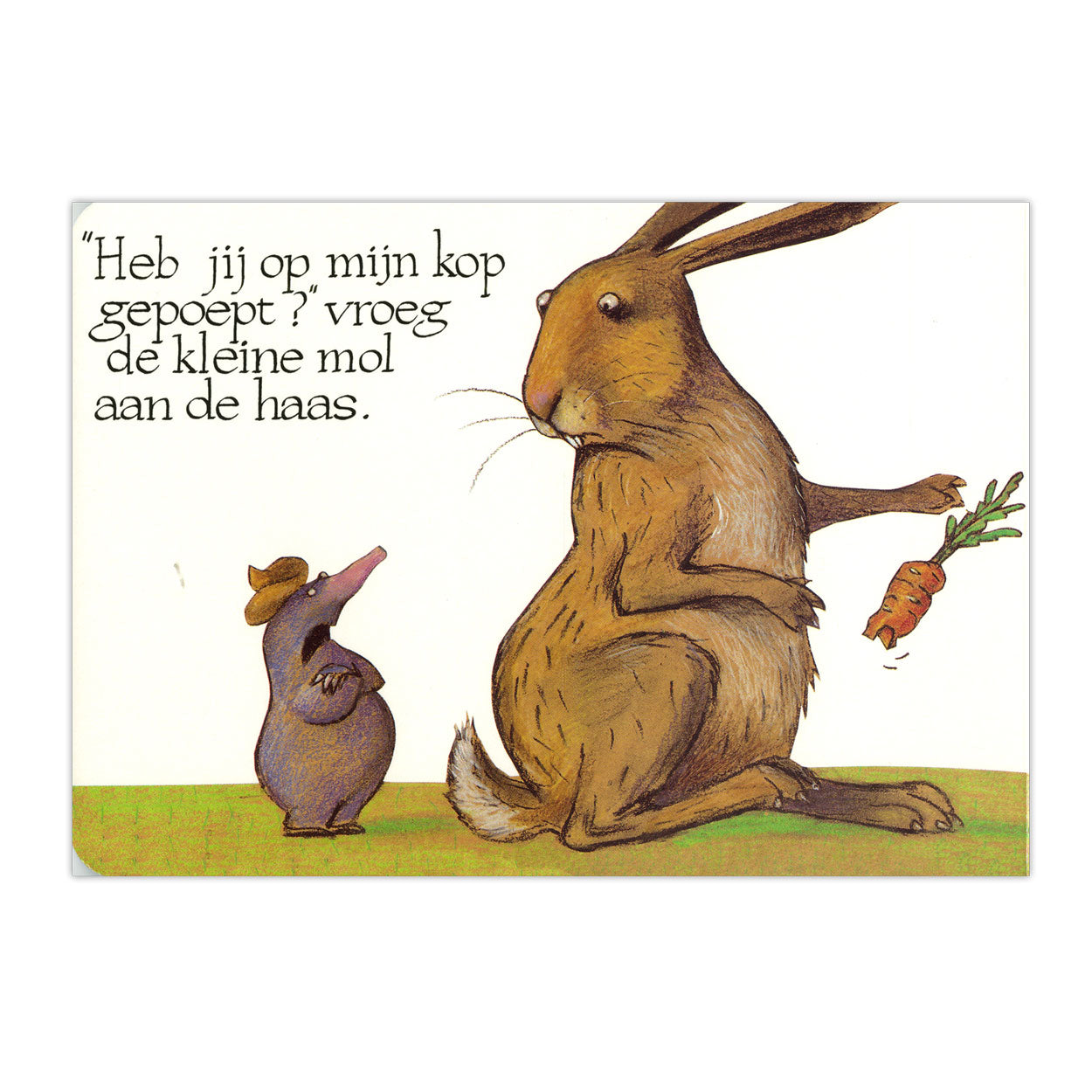 Centraal boekhuis over een kleine mol... kartonboek
