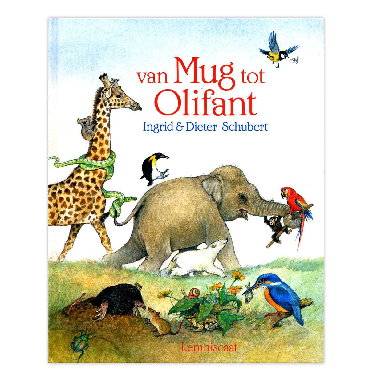 Van mug tot olifant