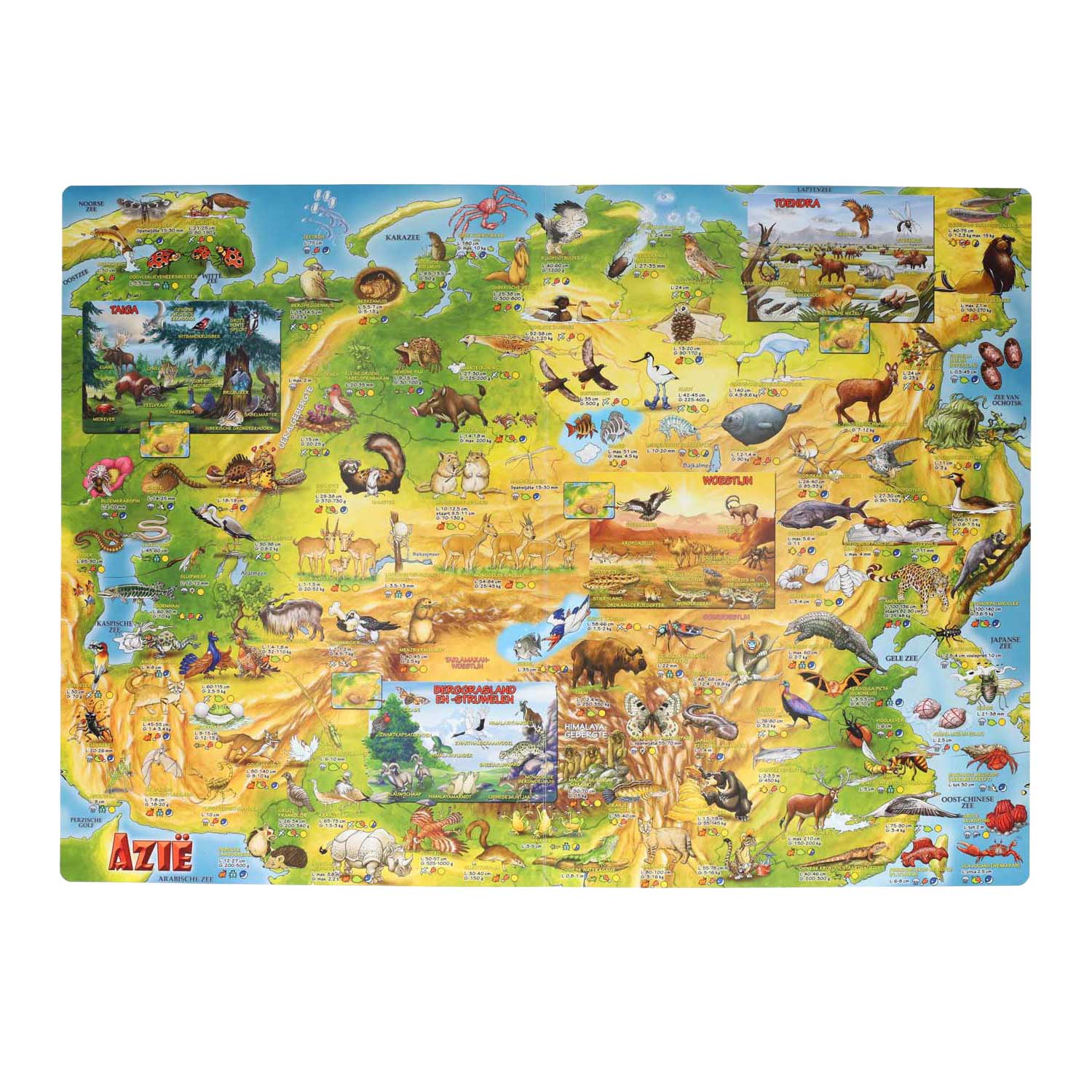 Mondikaarten mega kinderatlas van de dieren