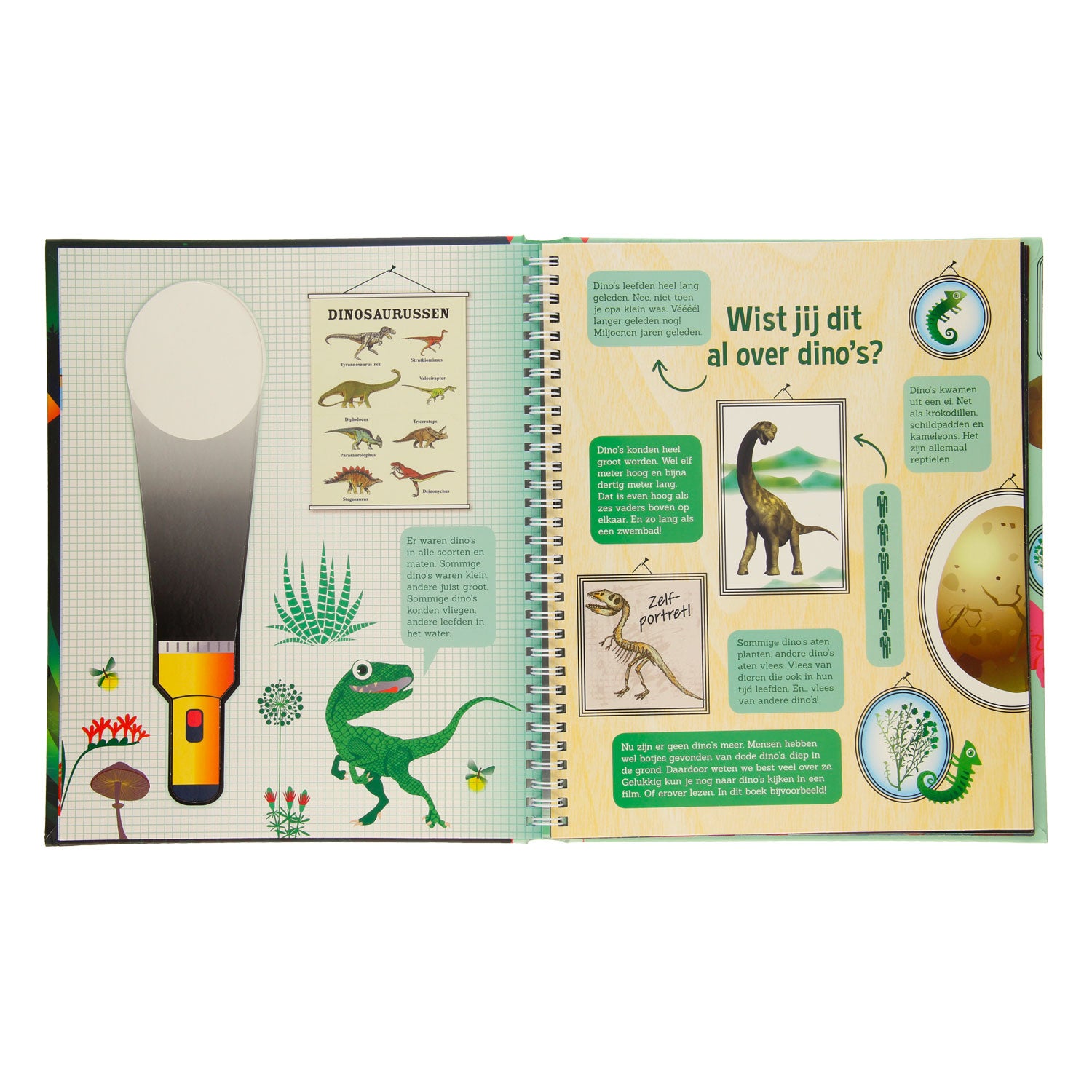 Speuren in het dinobos + elektronische zaklamp