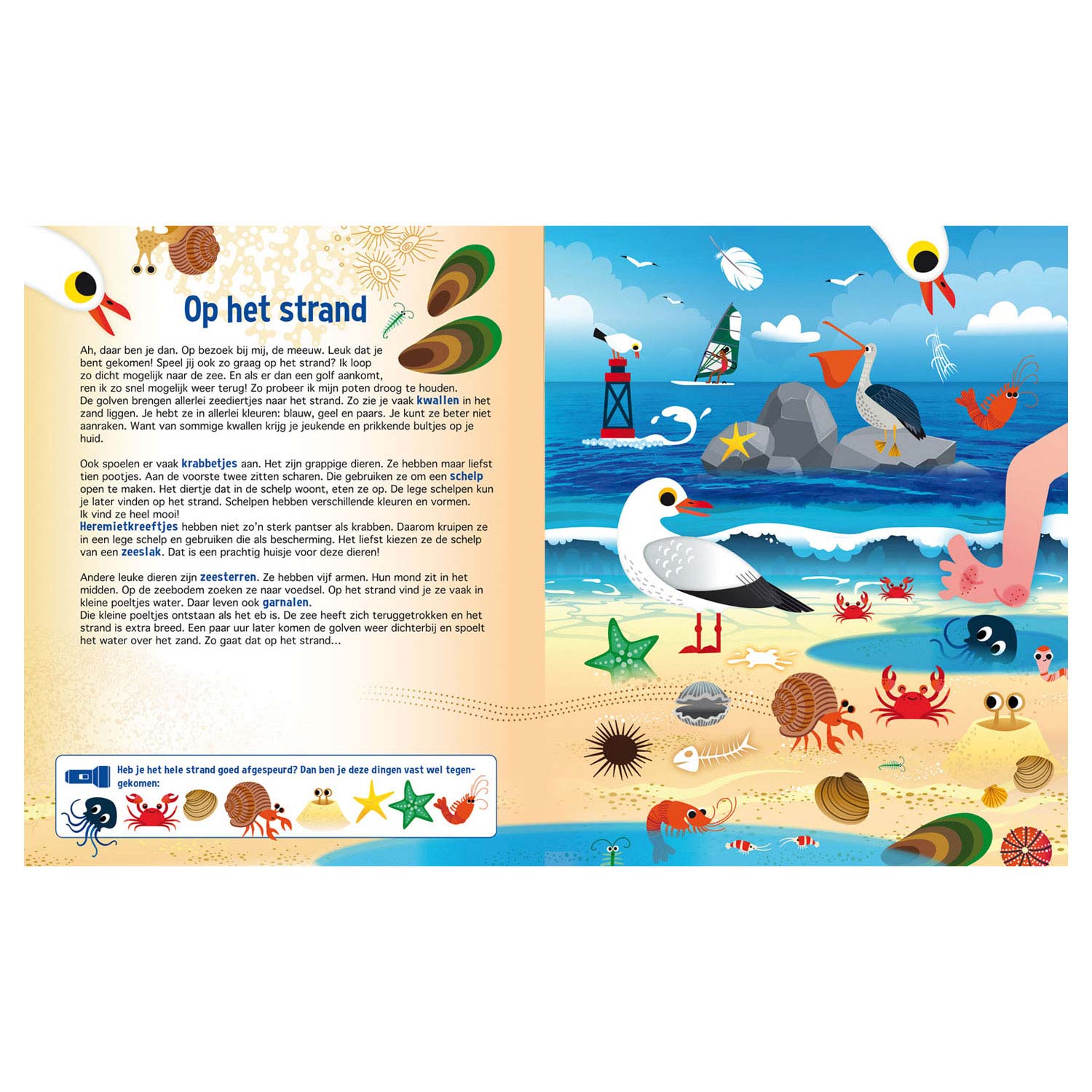 Speuren in de dierenwereld + bekende zaklamp