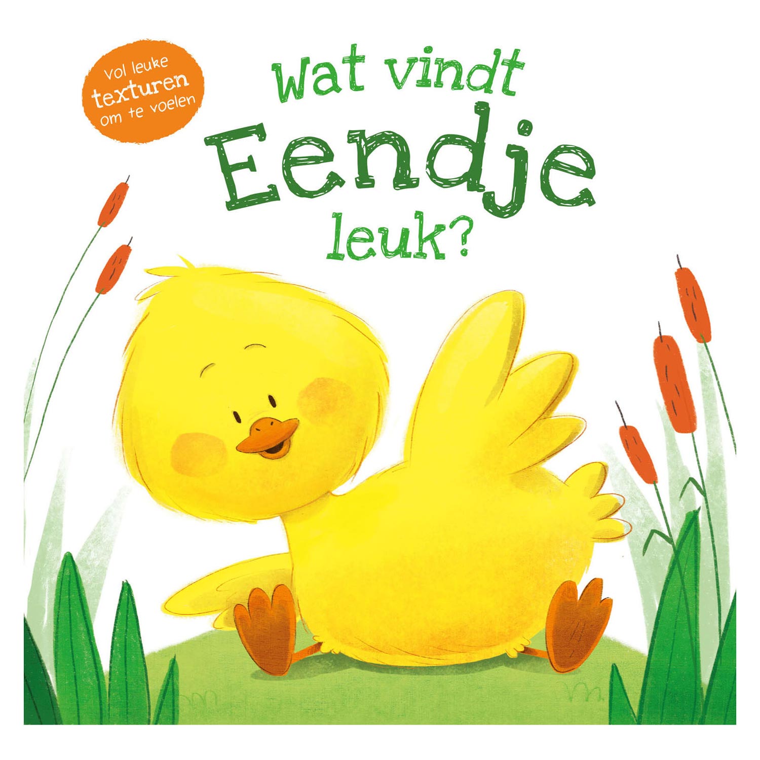 Rebo uitgevers voelboek - wat vindt eendje leuk?