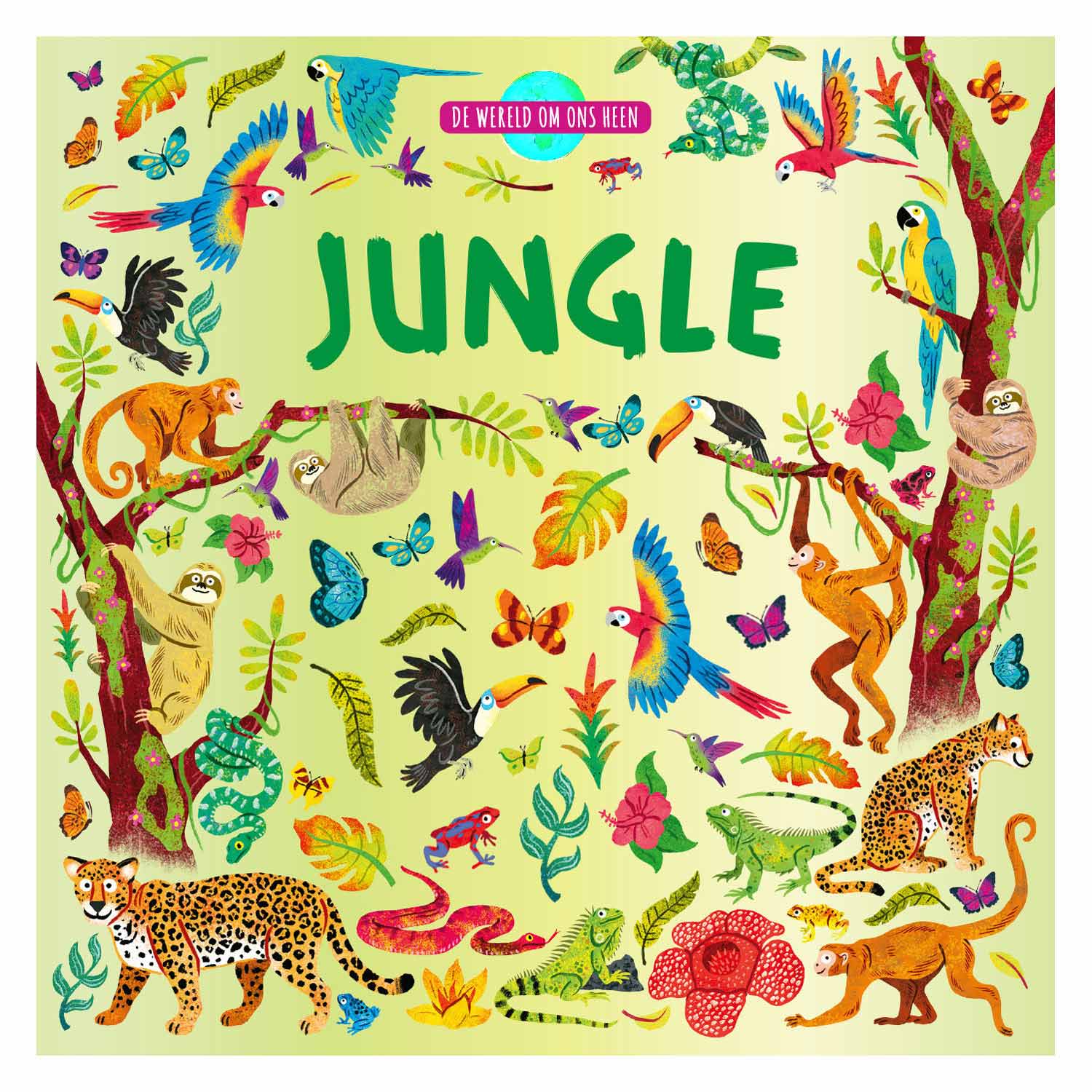 Rebo uitgevers de wereld om ons heen - jungle