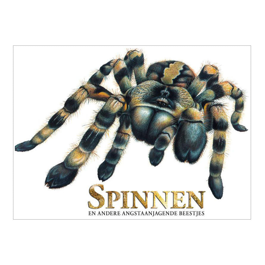 Rebo uitgevers boek over spinnen, angstaanjagende wezens