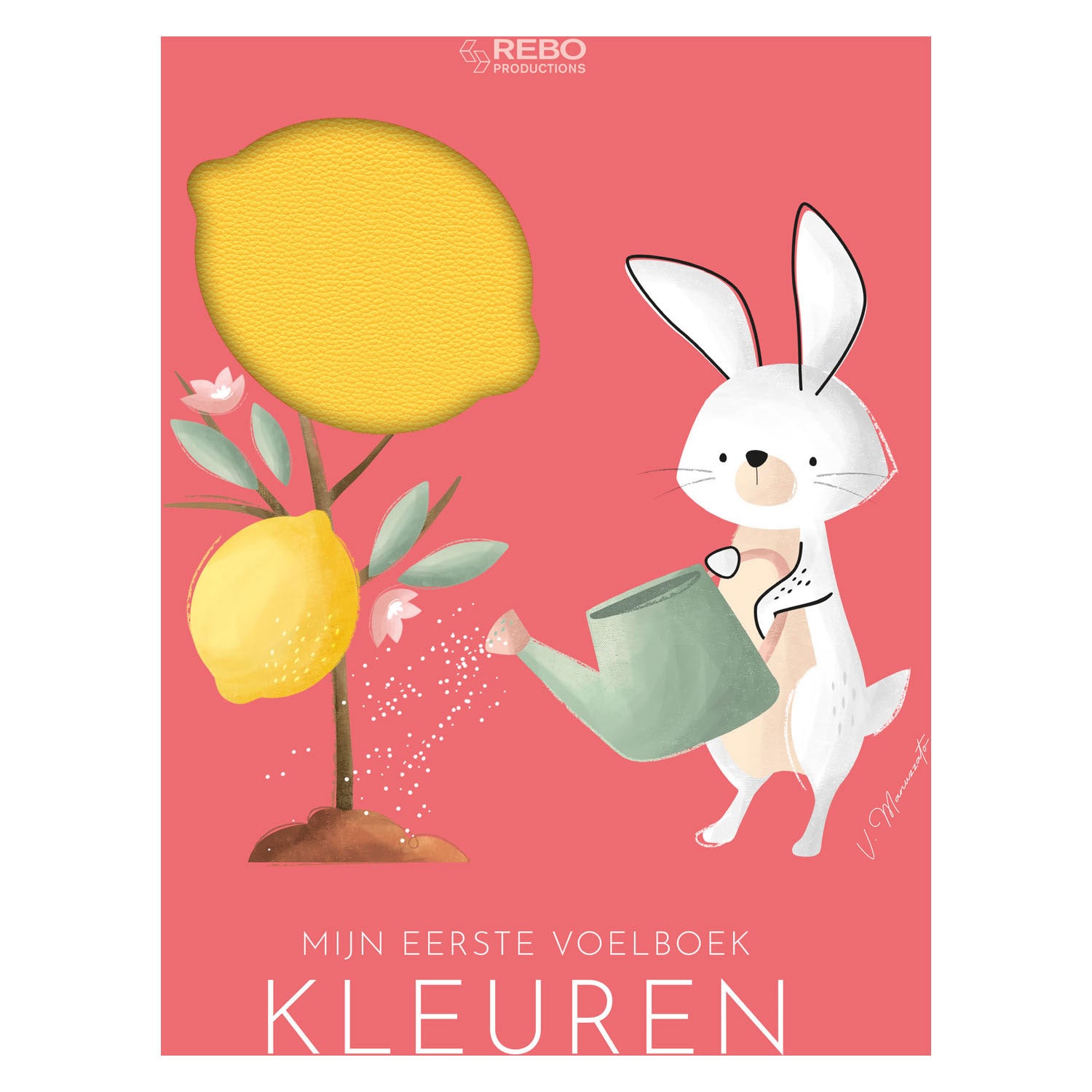 Rebo uitgevers kleuren - eerste voelboek