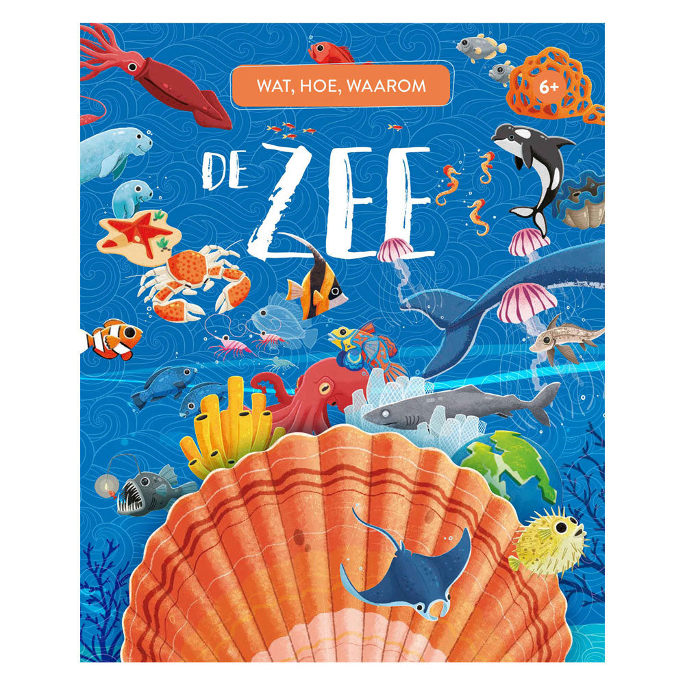 Rebo uitgeverij de zee - wat, hoe en waarom