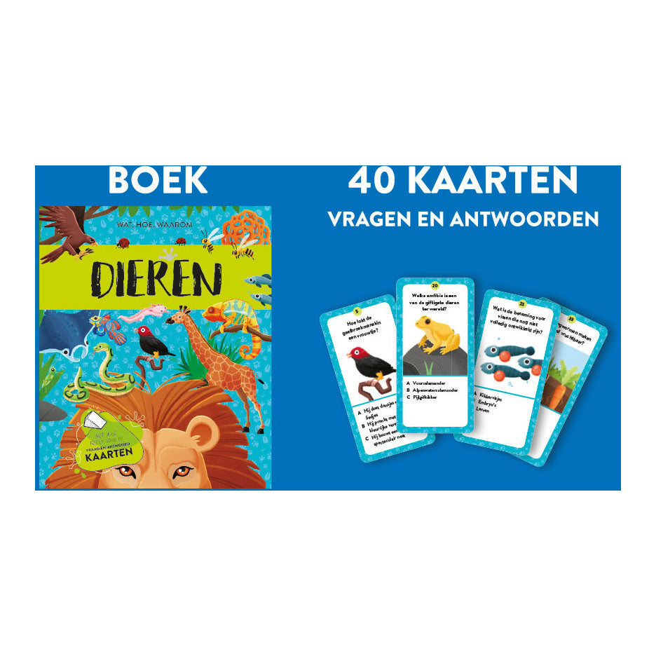 Rebo uitgevers dieren - feit- en speelset