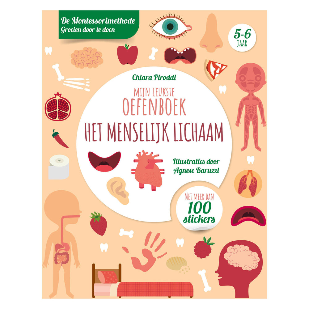 Rebo publishers mijn leukste oefenboek het menselijk lic