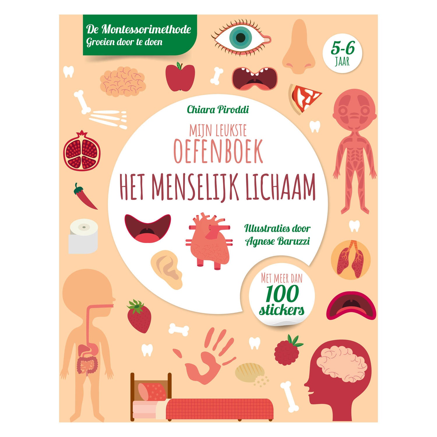 Rebo uitgeverij menselijk lichaam-leukste oefenboek