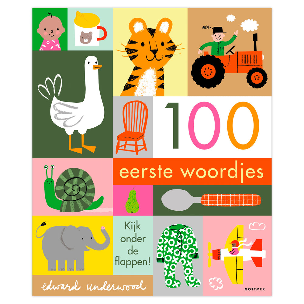 Gottmer uitgevers groep 100 eerste woordjes (karton). 2+