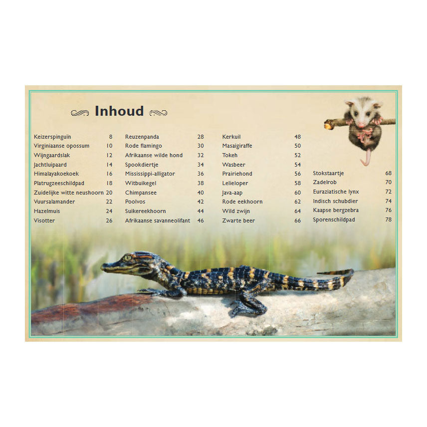 Gottmer uitgevers groep het allermooiste boek over babydieren 8+