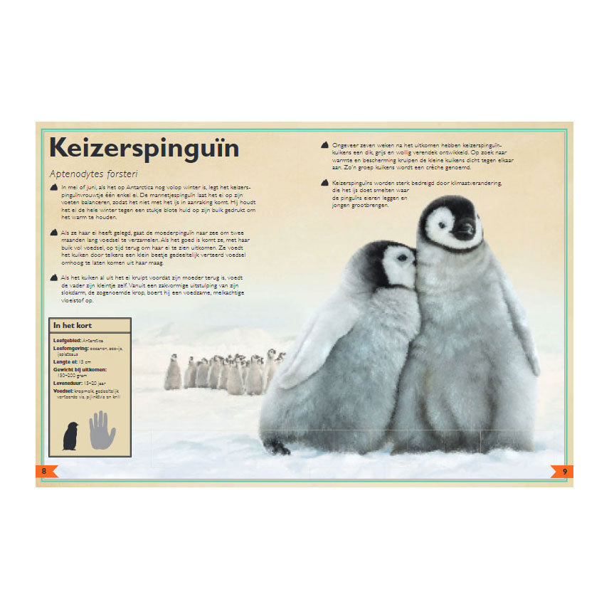 Gottmer uitgevers groep het allermooiste boek over babydieren 8+