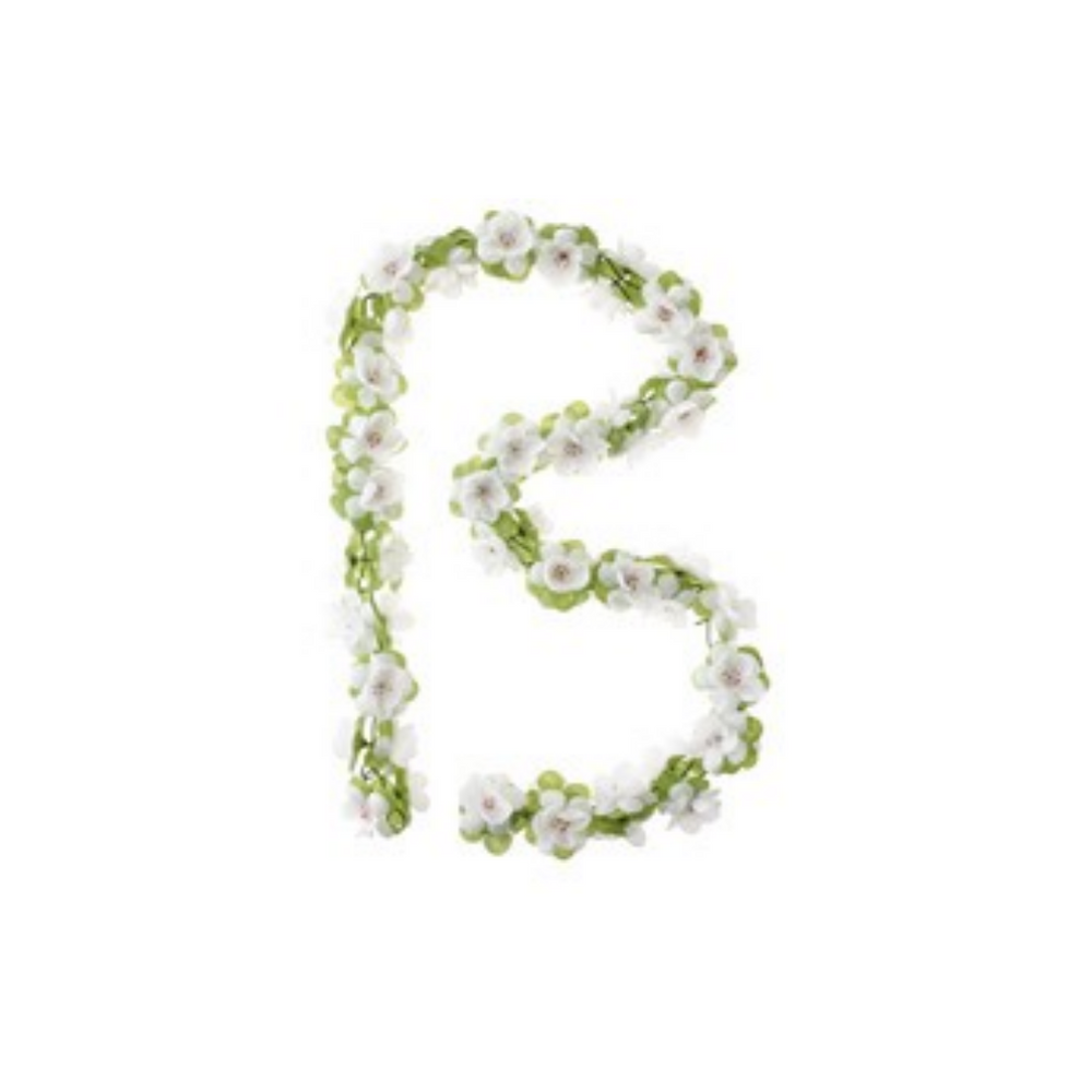Basilicum Rozen Slinger - bloemensterkte - wit