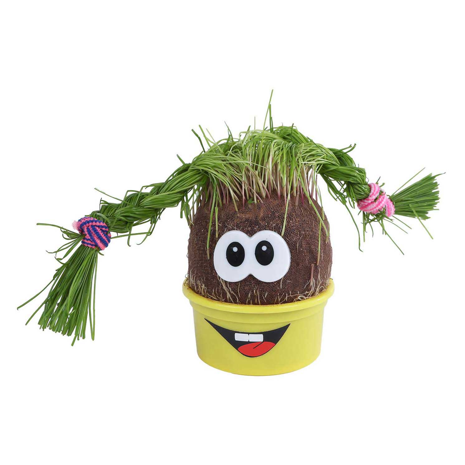 Van manen veenendaal bv grasvriendje mini monster