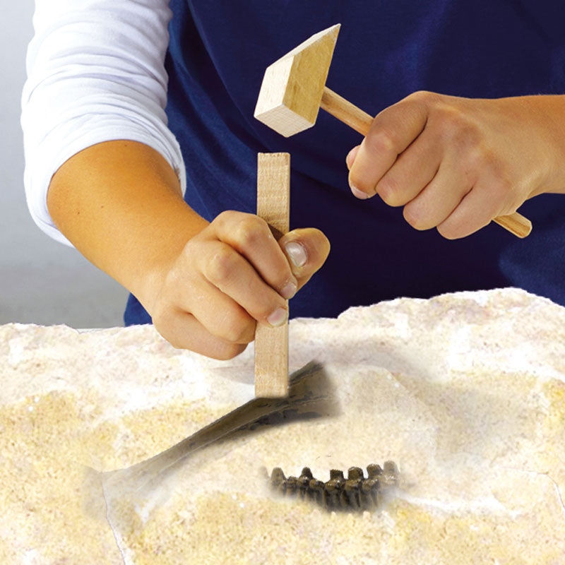 Six creative six t-rex excavation