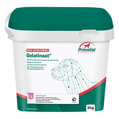 Oer-Gelatinaat hond