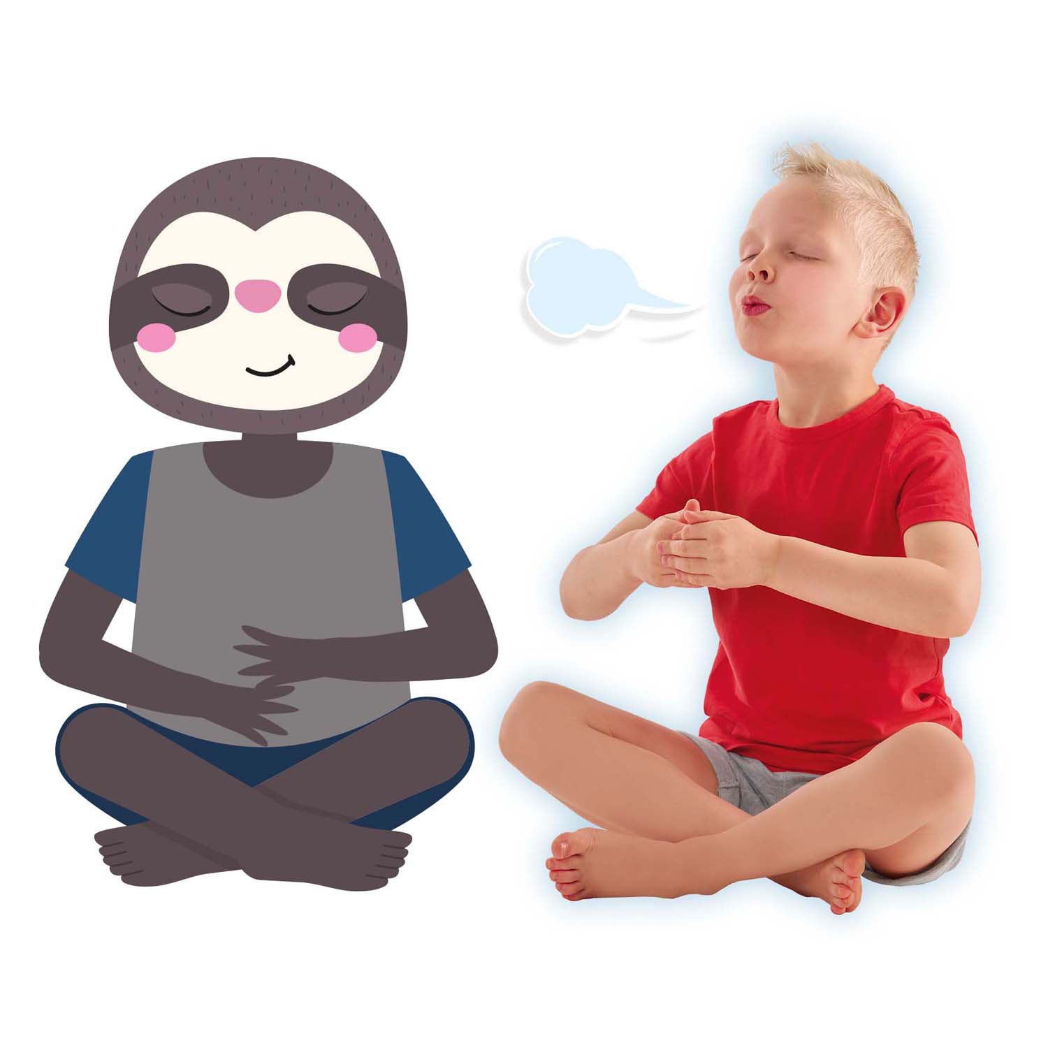 Ses zen yoga dieren, 28dlg.