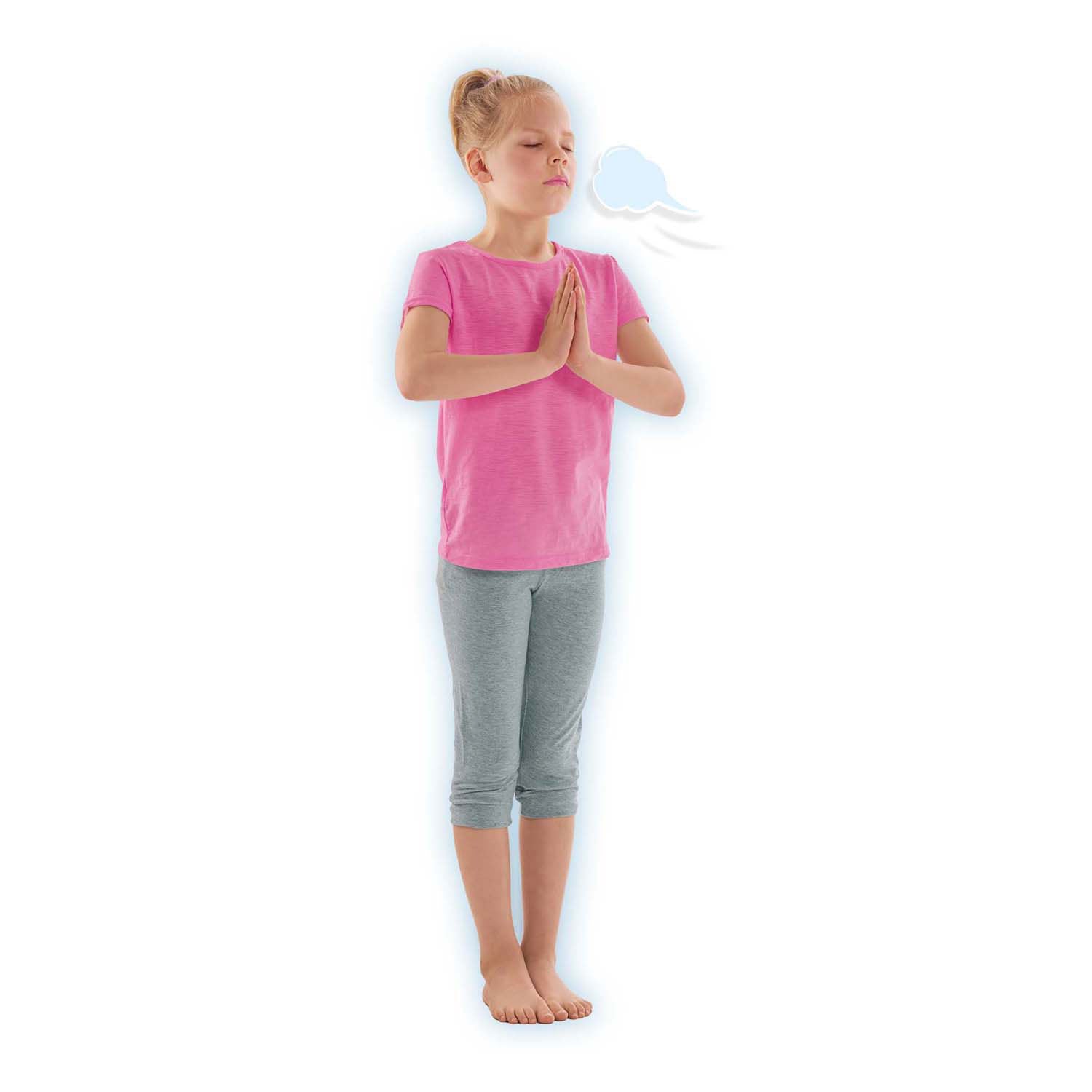 Ses zen yoga dieren, 28dlg.