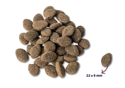 Renske Super premium volwassen lam graanvrij