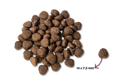 Renske Super premium volwassen zalm graanvrij