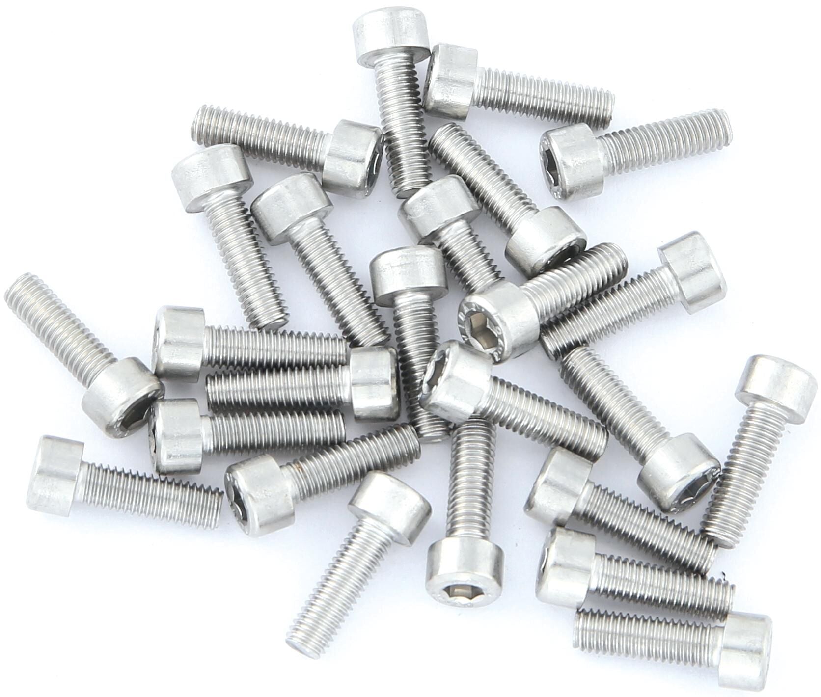 Inbusbout M5 X 16 RVS (25 Stuks) (214126)