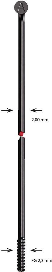 Alpina spaak spoke sst 2x254 mm b