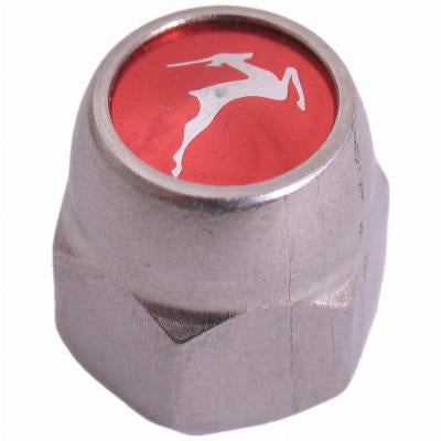 Gazelle achteras siermoer remnaaf 3 8 x 24g - 21 mm RVS