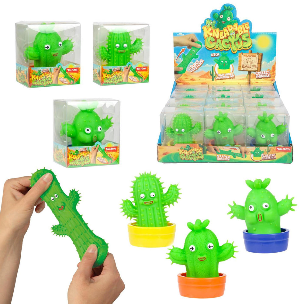 Toi-toys fun stretchy kneedcactus met potje 6 assorti