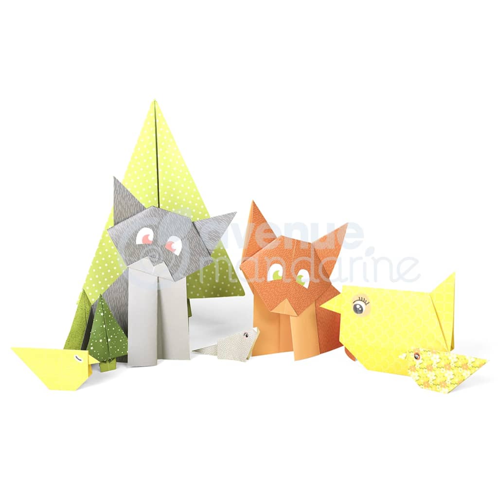 Avenue Mandarine Avenue Mandarine Knutseldoos Origami-initiatie