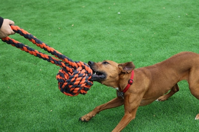 Happy Pet Nuts voor knopen Extreme Bal Tugger