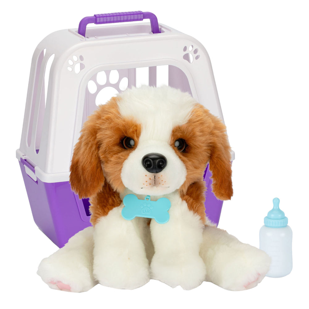 Mijn echt echte puppy-patches