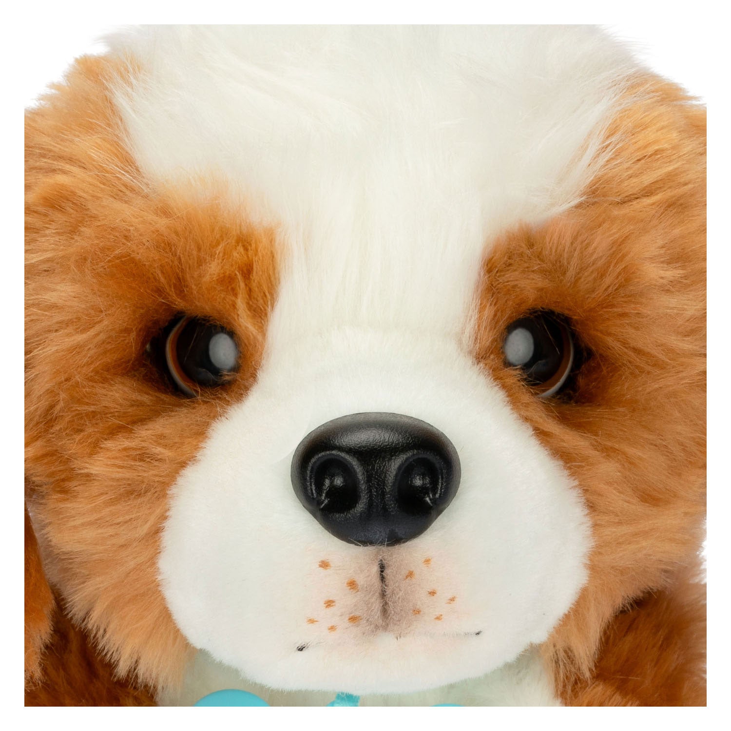 Mijn echt echte puppy-patches