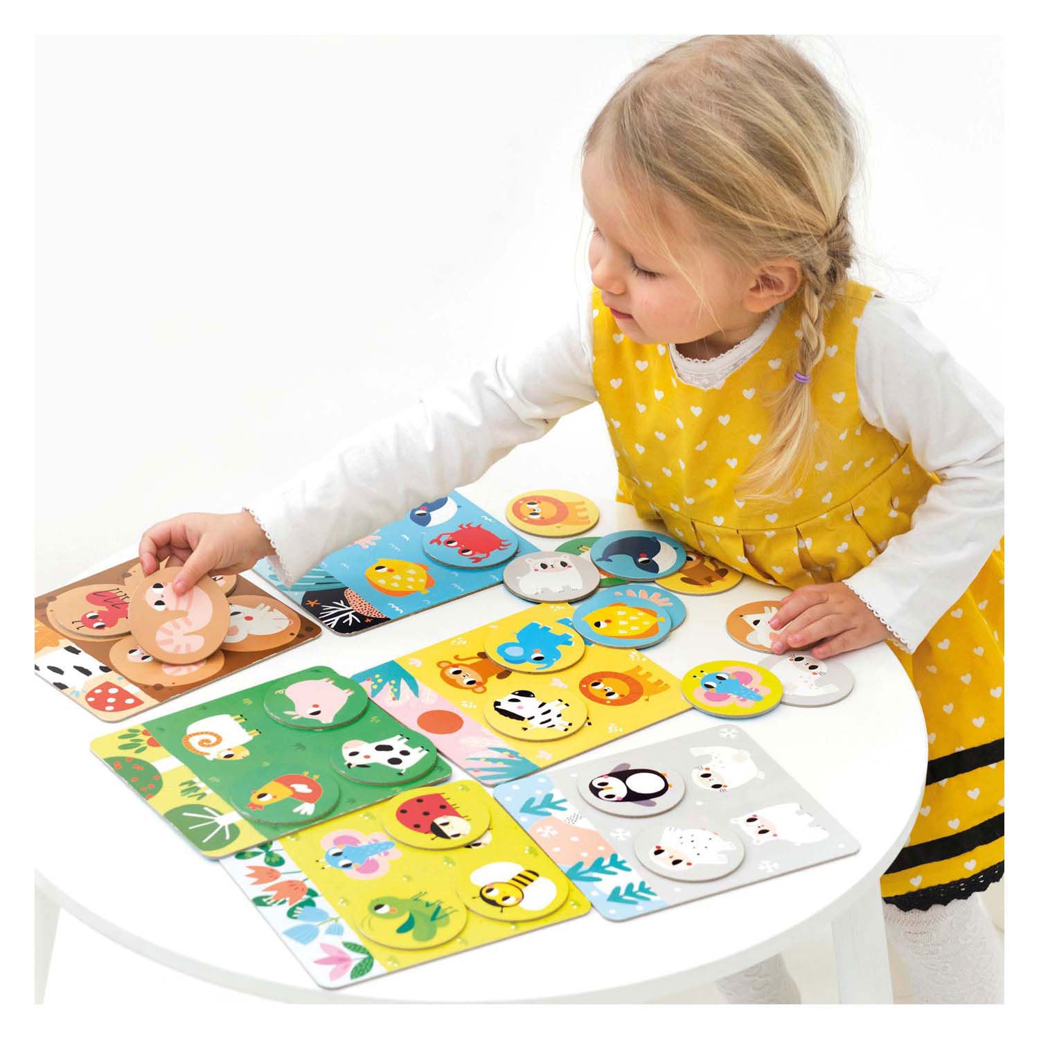 Banana panda - laten we habitat bingo spelen