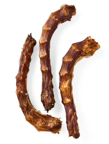 Yarrah Dog bio kippennek