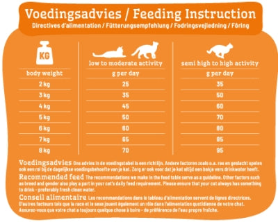 Smolke kat volwassen kip rijst
