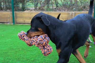 Happy pet noten voor knopen extreme bot grijs oranje