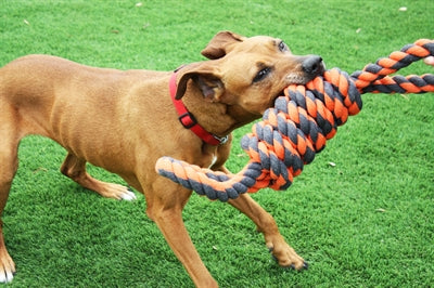 Happy pet nuts for knots extreme spoel 8 vorm tugger grijs oranje