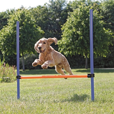 Trixie Hondenactiviteit agility horde blauw oranje